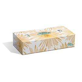 White Swan Facial Tissue 100 sht/box